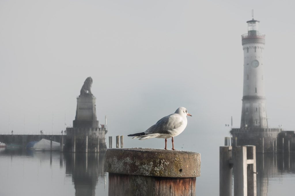 Wann Fährt Ein Schiff Von Bregenz Nach Lindau?