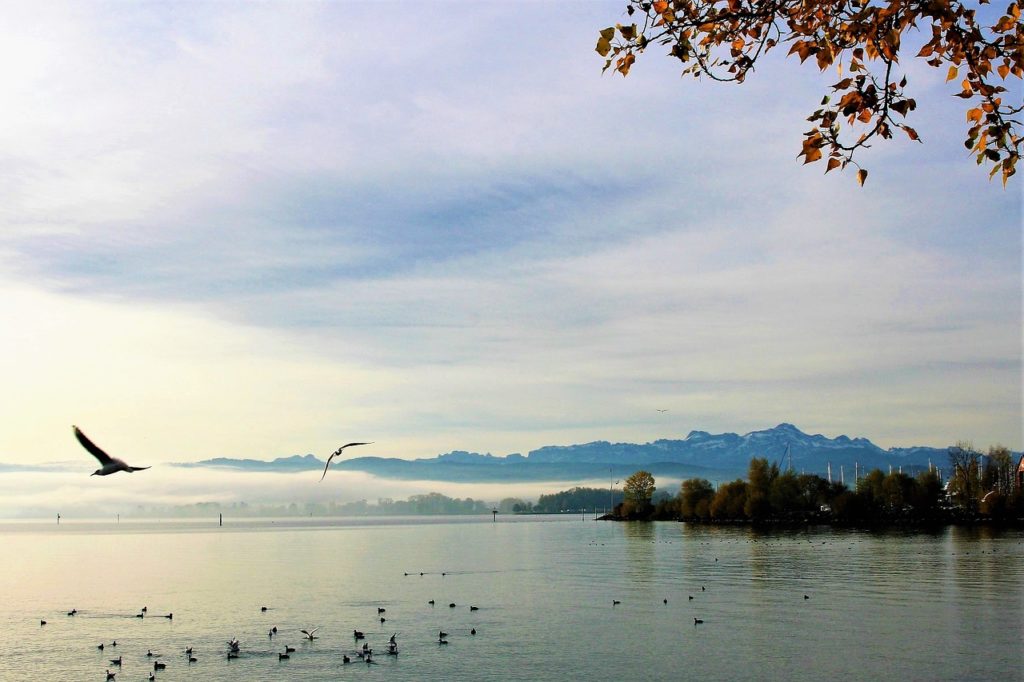 Was Kostet Eine Tageskarte Auf Dem Bodensee?