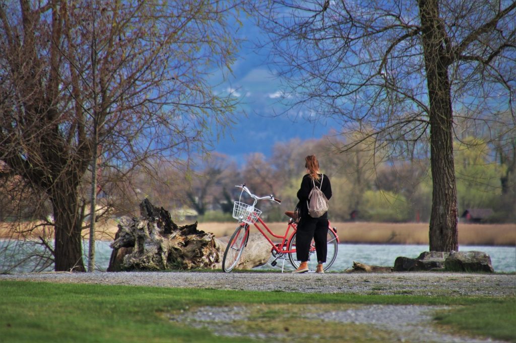 Was Kostet Eine Tageskarte Auf Dem Bodensee?